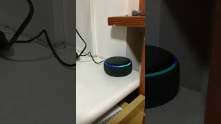 Anche Alexa fa parte dell’Ordine dei Sith