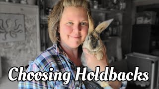 Choosing Rabbit Colony Holdbacks