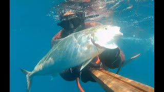 Pesca submarina primavera 2022, espeton, corvas y serviola.