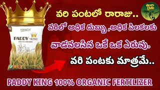 వరి పంటకు మాత్రమే వాడవలసిన సేంద్రీయ ఎరువు || Paddy king 100% organic fertilizer use in telugu