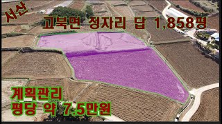 [딸기297] 충남 서산시 고북면 장자리 1,858평 매매 .딸기공인중개사 014.662.0880