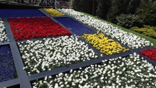 Mondrian flower arrangement at the Keukenhof gardens