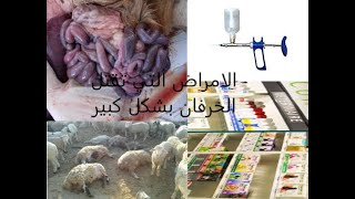 امراض الخرفان و طريقة العلاج