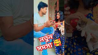 তুমি না দেখতে কুত্তার মতন #funny #comedy #youtubeshorts #viralvideo #shorts #tranding