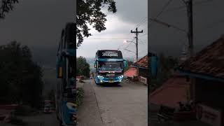 Bus kupu-kupu ayu Mc Laren🦋