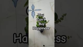 Buying plants| ☘️😀|Coin plant|Wandering Jew|Money plant|#shorts #shortvideo #youtubeshorts