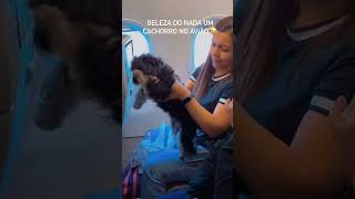 MC DANIEL ENCONTRA UM CACHORRO EM PLENO VOO