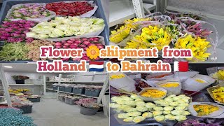 Today we received  new shipment  from Holland 🇳🇱 to Bahrain 🇧🇭 new Flower 🌼||Bahrain vlogs