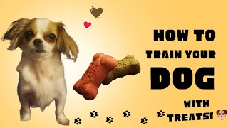 How To Train Your Dog With Treats!