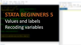 STATA BEGINNERS 5: recoding variables