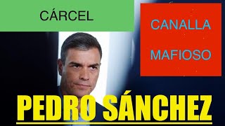 PEDRO SÁNCHEZ, CANALLA Y MAFIOSO ‼️EN CUALQUIER PAÍS DEL MUNDO 🌎 ESTARÍA HACE TIEMPO EN LA CÁRCEL ‼️