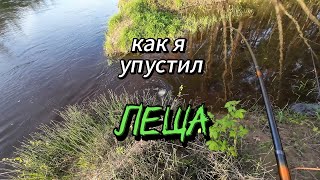 Как я упустил Леща