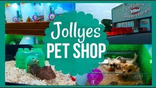 Visit To Jollyes Pet Shop (they got new animals!)