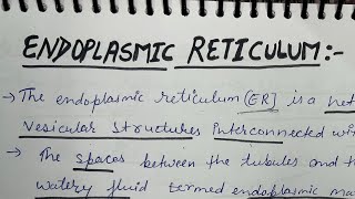 Endoplasmic Reticulum