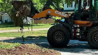 The city said the tree needs to be taken down so this old man did it!