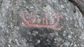 Looking at some ancient rock carvings