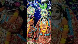 🌺 साँवरे श्याम 🌺 #shyam #damodarmaas #girirajdharan #live #vishalmishra #shortvideo #status_video 🌺🌸