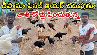 జాతి కోళ్లు పెంచుతున్న Young farmer jathikolla farm @MalleshAdla