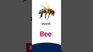 Bee  meaning in Gujarati - English Dictionary