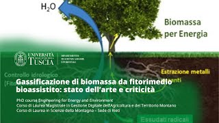 🖥️ WEBINAR | GASSIFICAZIONE DI BIOMASSA DA FITORIMEDIO BIOASSISTITO: STATO DELL’ARTE E CRITICITÀ