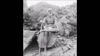 Ramana Maharshi - Sii ciò che sei (Capitolo 9)