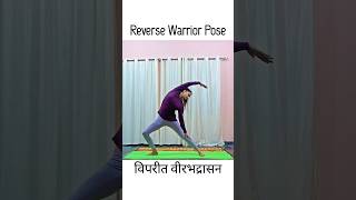 Urdhava Veerbhadrasana #shorts #yoga