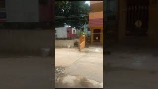 porur garden corner property for sale