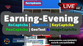 Evening & Night Earning Proof ➜ hCaptcha | reCaptcha | FunCaptcha  ➜Online Data Entry