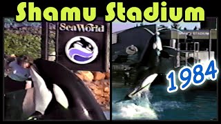 SeaWorld Shamu Orca Show San Diego - Feb 1984 at Vintage Shamu Stadium