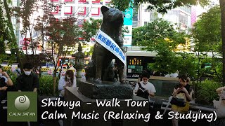 Shibuya Walk Tour