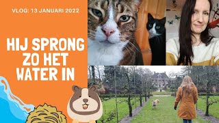 Vlog 13-1-22; Hij sprong zo het water in! #270