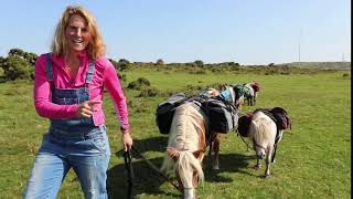 Winning at Life with 'Unicorn Pink' CLB Mini Horse Hoof Boots!