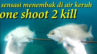 Spearfishing INDONESIA|memanah ikan di laut ACEH