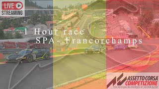 Assetto Corsa Competizione 1 hour endurance race SPA - Francorchamps