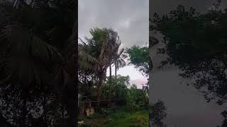 ##একদিন ঝড় থেমে যাবে##