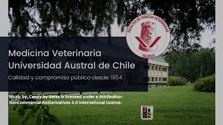 Bienvenida Estudiantes Medicina Veterinaria Generación 2021 - Mechones MV UACh