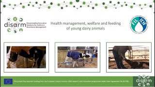 Health management, welfare and feeding of young dairy animals