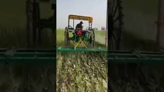 #agriculture #shorts #youtubeshorts #virulvideo