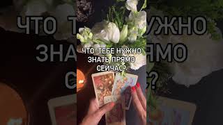 Что тебе нужно знать прямо сейчас? #таролог