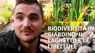 BIODIVERSITÀ IN GIARDINO: IL LAGHETTO E LE LIBELLULE