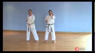 Karate - Intro to Goju-Ryu basics - strikes and kicks