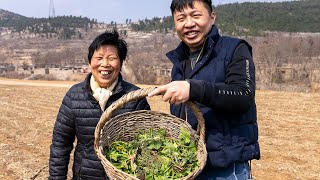 【食贫道】去山里帮老奶奶挖野菜，干了半天被“拉黑”了？「城外就是乡00」