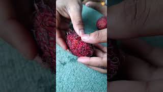 Extreme Sweet Red Rambhutan 😍 @Havealook-gu9fc #food #vlog #shorts