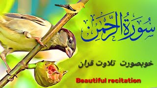 Surah Rahman | Ep - SR254 By Qari Abdul Waris | سورہ رحمٰن55 |Beautiful Recitation | Edited&04213🚀