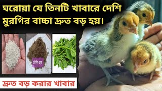 যে ৩ টি খাবারে মুরগির বাচ্চা দ্রুত বড় হয়।