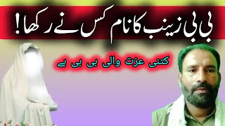 BiBi zainab ka name kis nay rakha || بی بی زینب کا نام کس نے رکھا || imam Ali ka farman || GM Ameeni