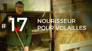 NOURRISSEUR POUR VOLAILLE │LFDT #17