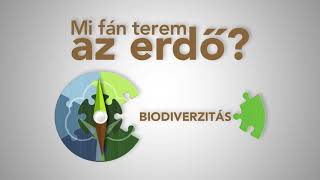 Mi fán terem az erdő? - Biodiverzitás