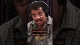 Knowledge Is Power - Joe Rogan and Neil deGrasse Tyson #joerogan #shorts #history