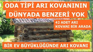 DÜNYANIN EN BÜYÜK ARI KOVANI